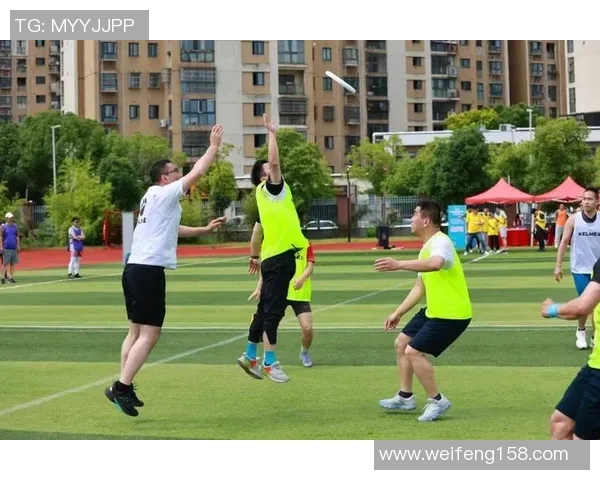 飞盘盛宴：深入武汉飞盘队的训练与比赛节奏揭秘